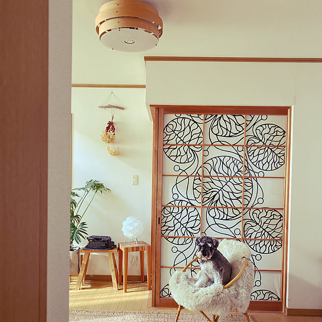 momo7679さんの実例写真