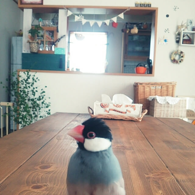 miiさんの実例写真