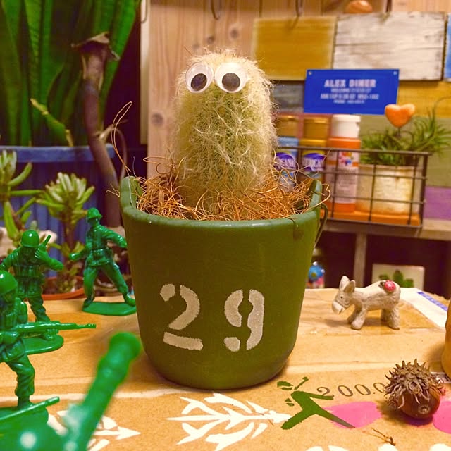reo29さんの実例写真