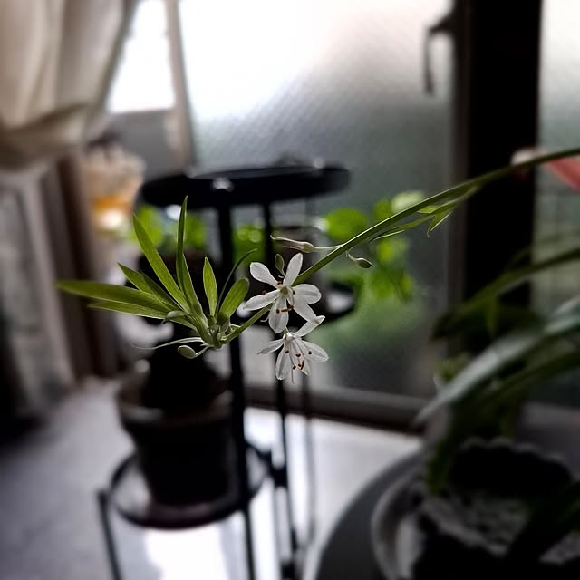 noaさんの実例写真