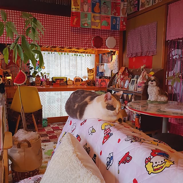 kumutanさんの部屋