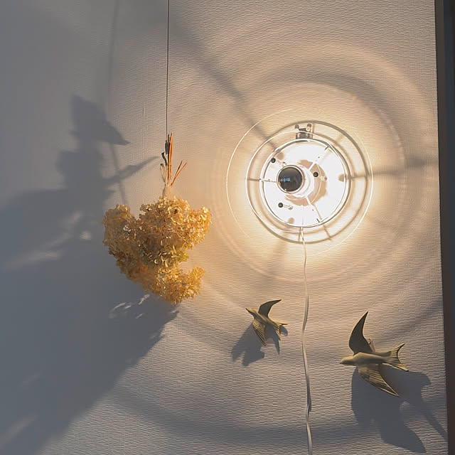 masuhome20さんの部屋