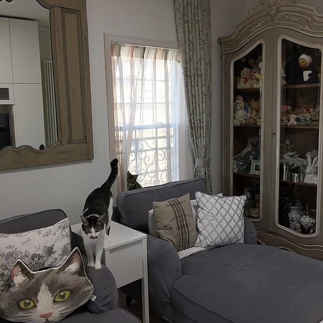 yuchiさんの実例写真