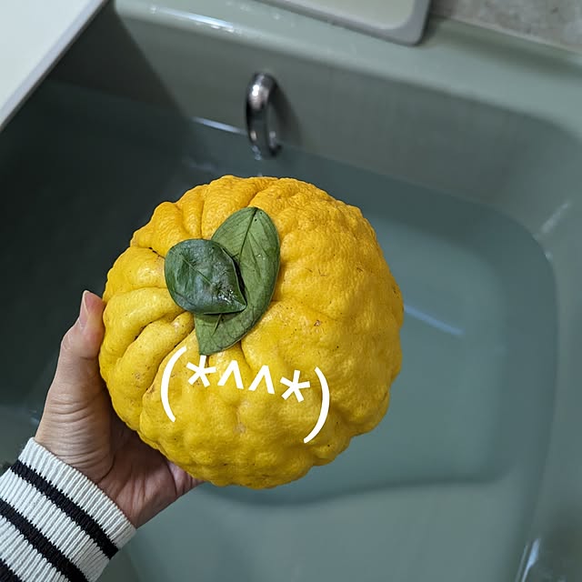 dadaさんの実例写真