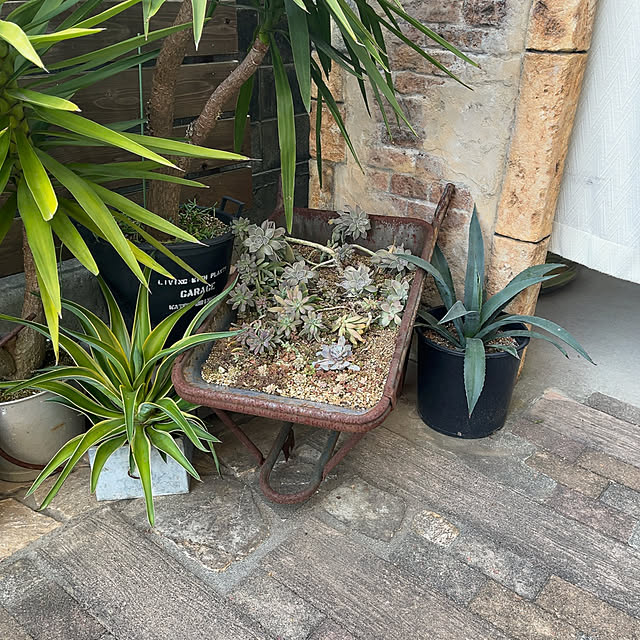 tamaharuさんの部屋