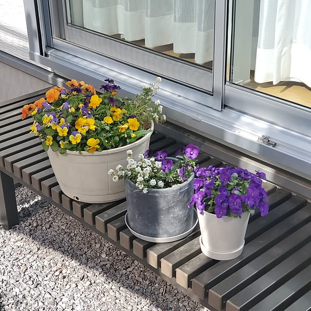 tokkiさんの実例写真