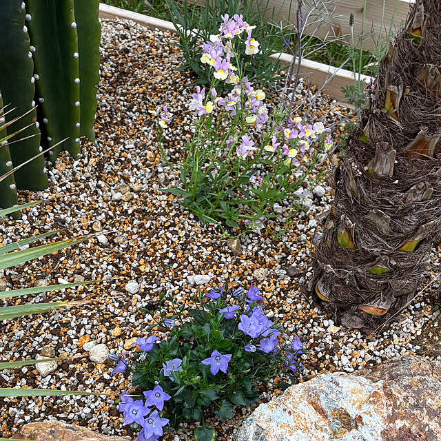 bonber0212さんの実例写真