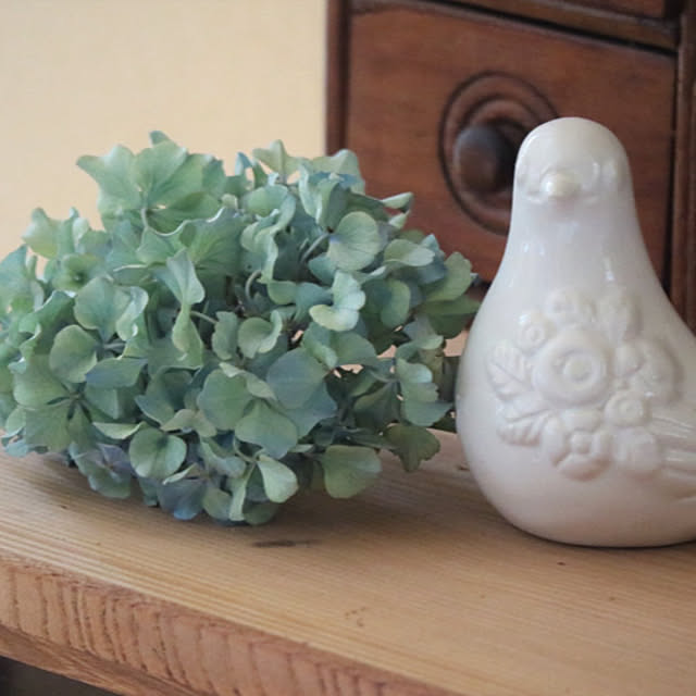 rokokoさんの部屋