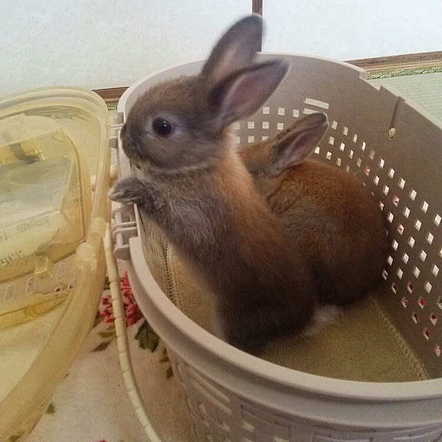 yu-ya1124さんの実例写真