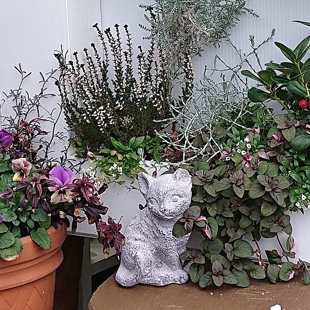 taeko0779さんの実例写真