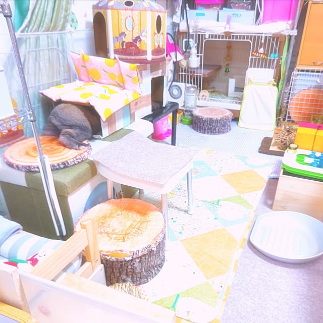 mariaさんの実例写真