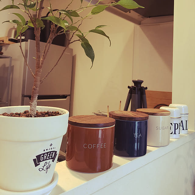 キッチン/3COINS/ニトリ/観葉植物のインテリア実例 - 2018-08-10 12:13:24