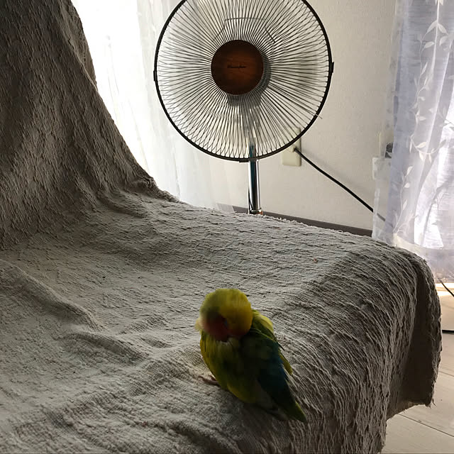keinagen91さんの実例写真