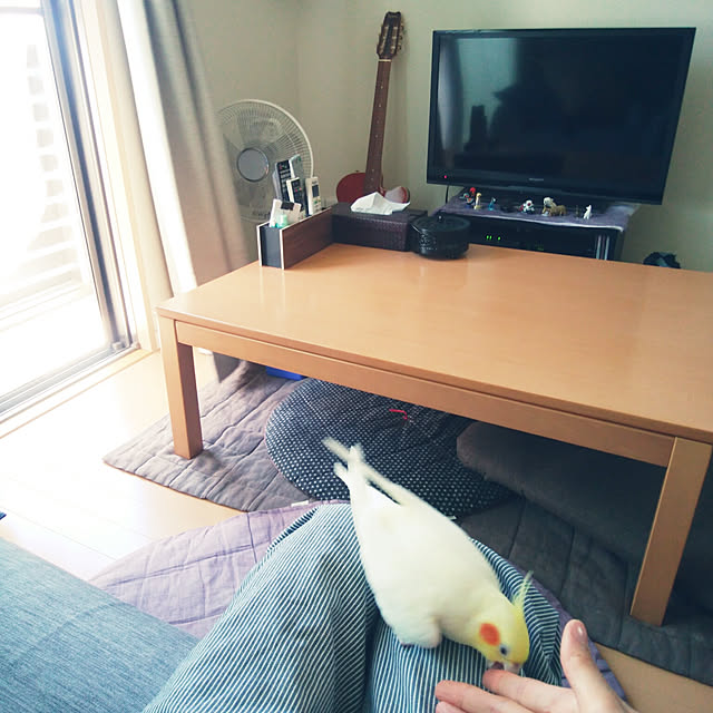 pontaさんの実例写真