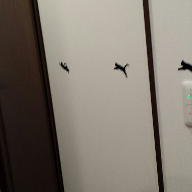 Masamiさんの実例写真