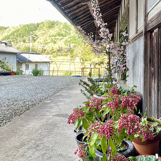 cota2さんの部屋