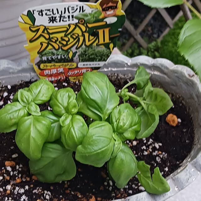 aiさんの実例写真