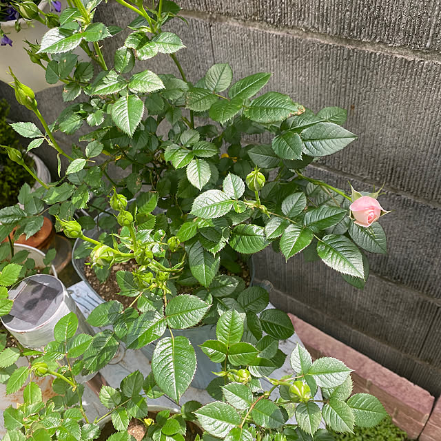 YuuKoさんの部屋