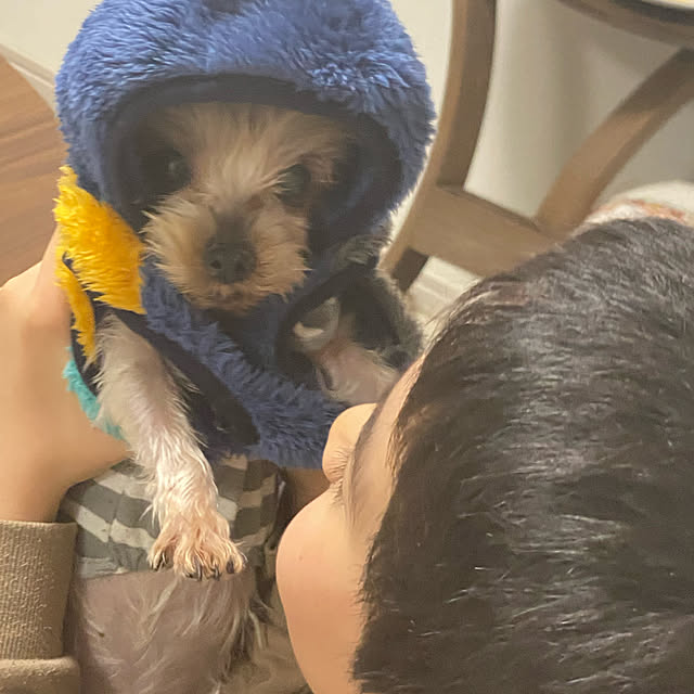 ohanaさんの実例写真