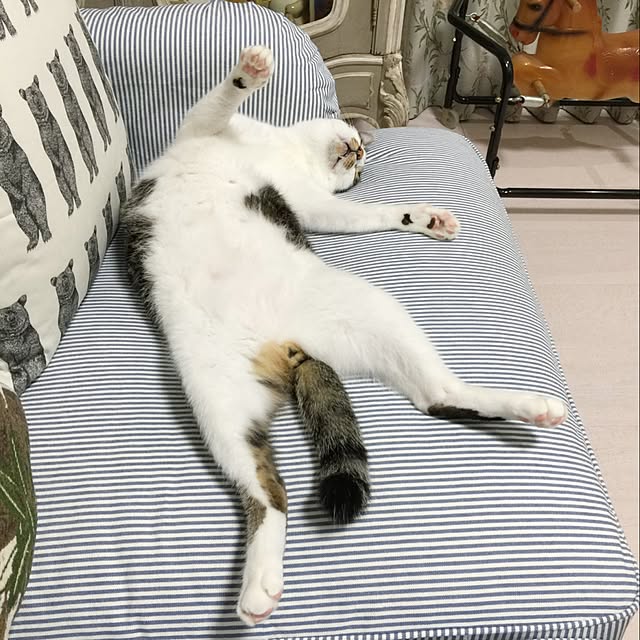 yuchiさんの実例写真