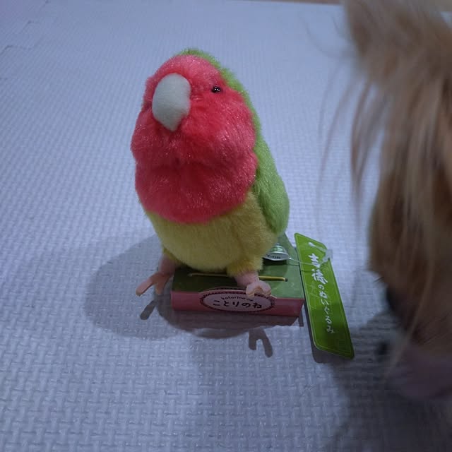 toratanさんの実例写真