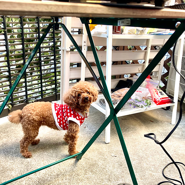 MOMOMAMAさんの部屋