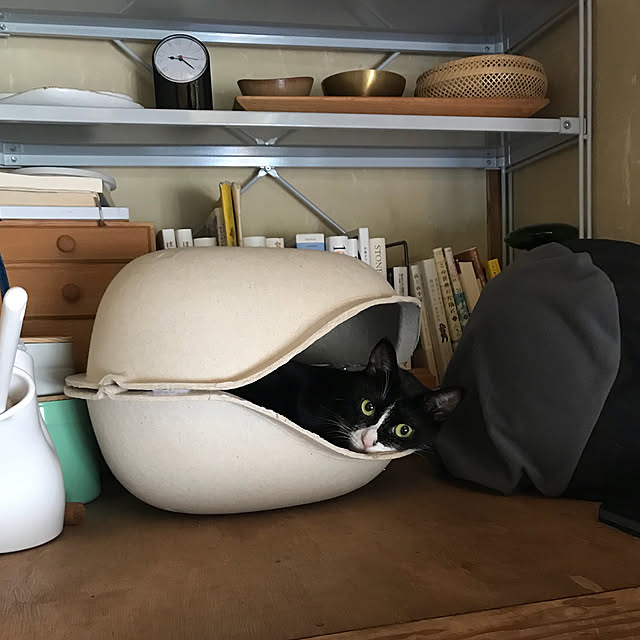 nejimakiさんの実例写真