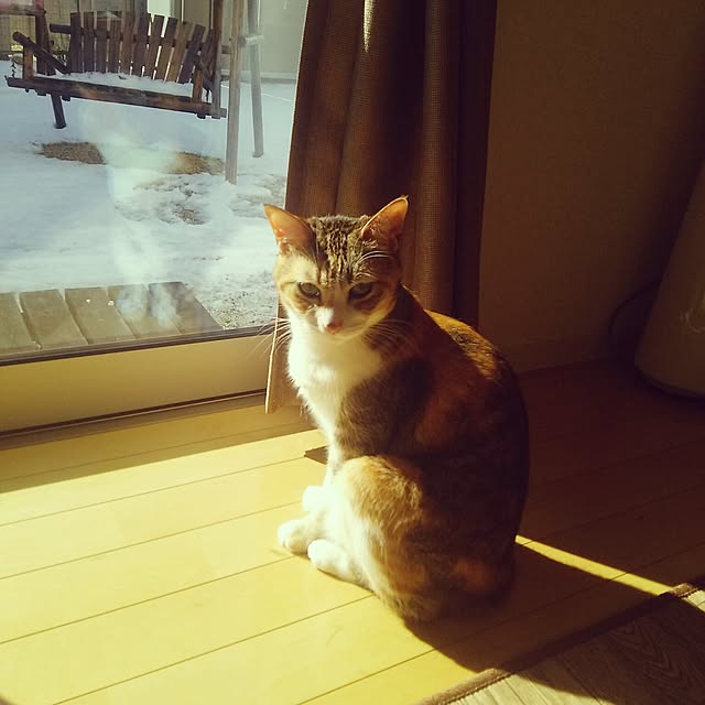 123sgnbさんの実例写真