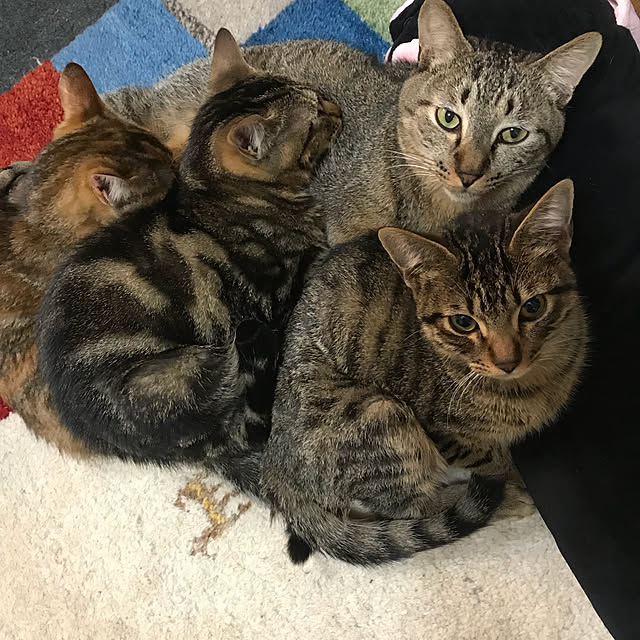 pepeさんの実例写真