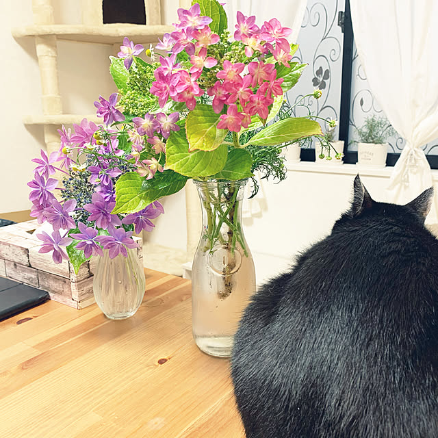 yamayuzu0624さんの実例写真