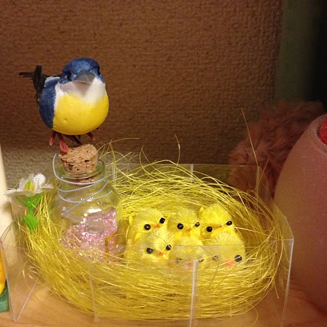 Saraさんの実例写真