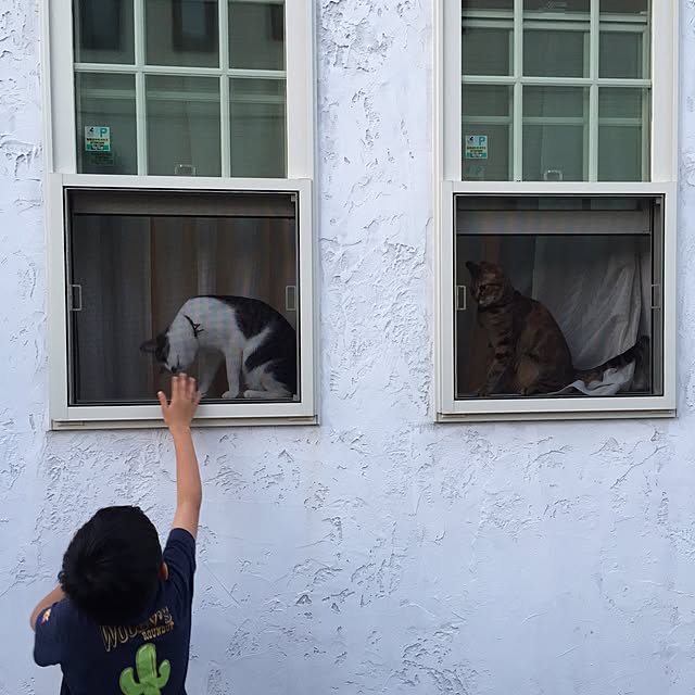 picakoさんの実例写真