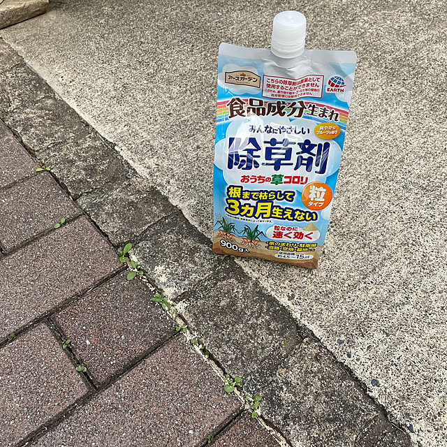 sugarcookieさんの部屋