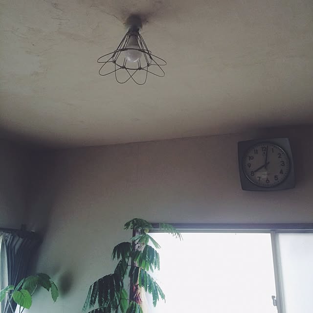 miyumaさんの実例写真