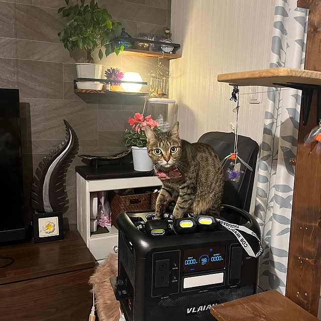 uutann320mozukuさんの実例写真