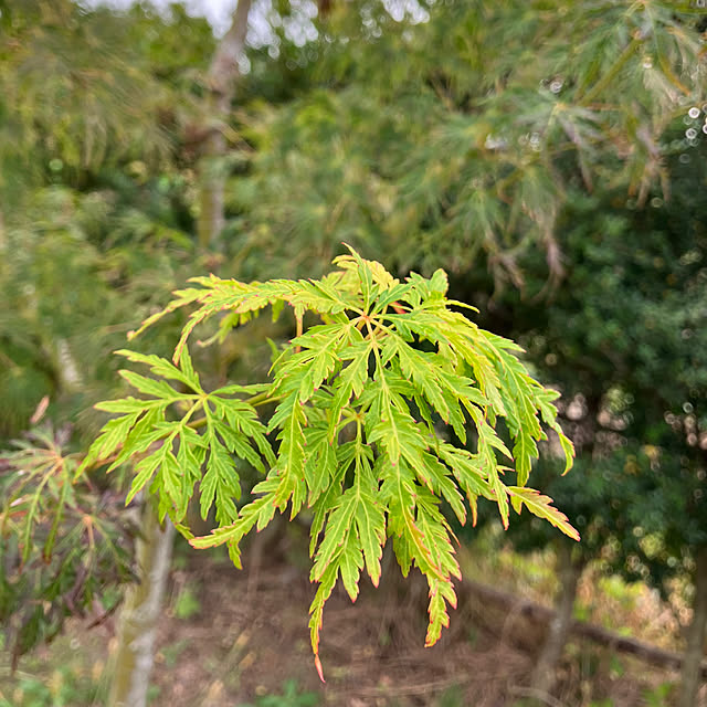 Nagakoさんの部屋