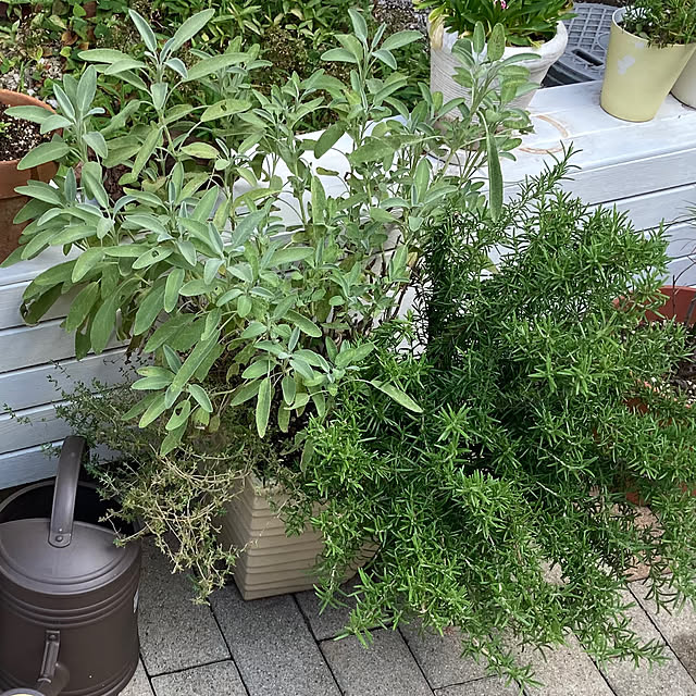 kayokos0801さんの部屋