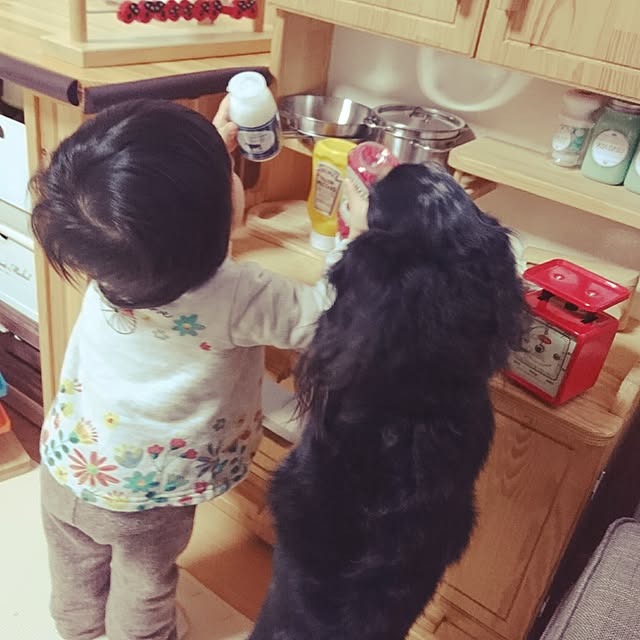 Mayukoさんの実例写真