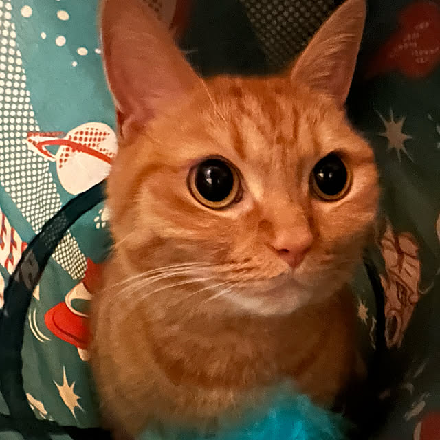 rumiさんの実例写真