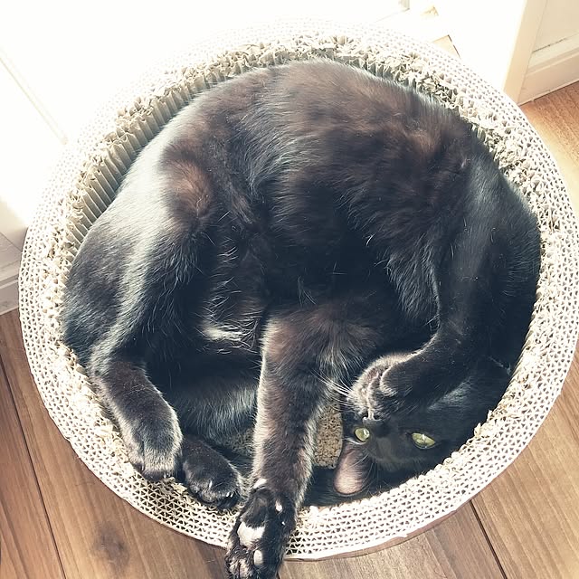 実例写真
