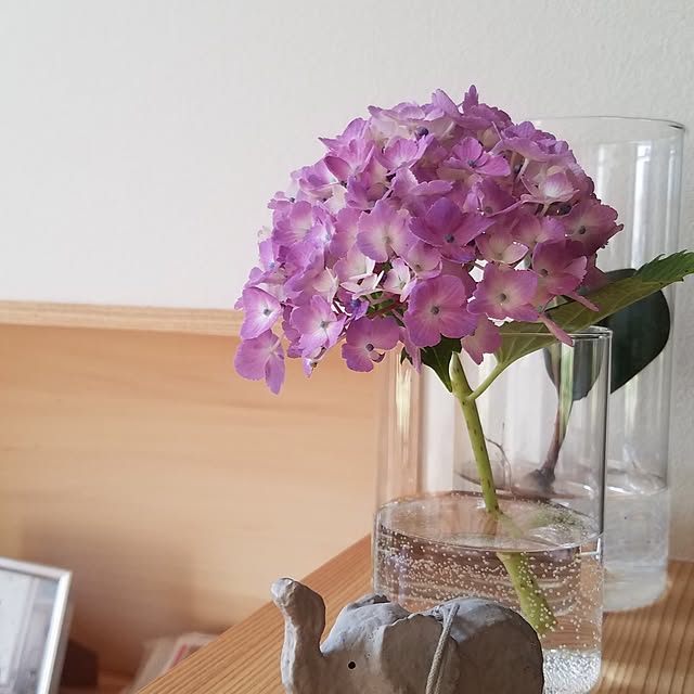 実例写真