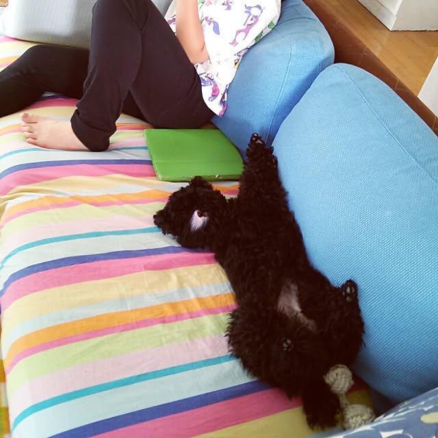 asayanさんの実例写真