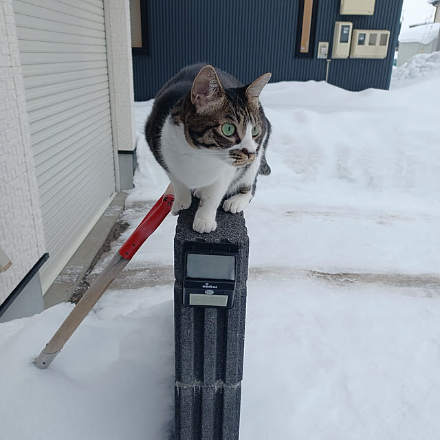 nrさんの実例写真