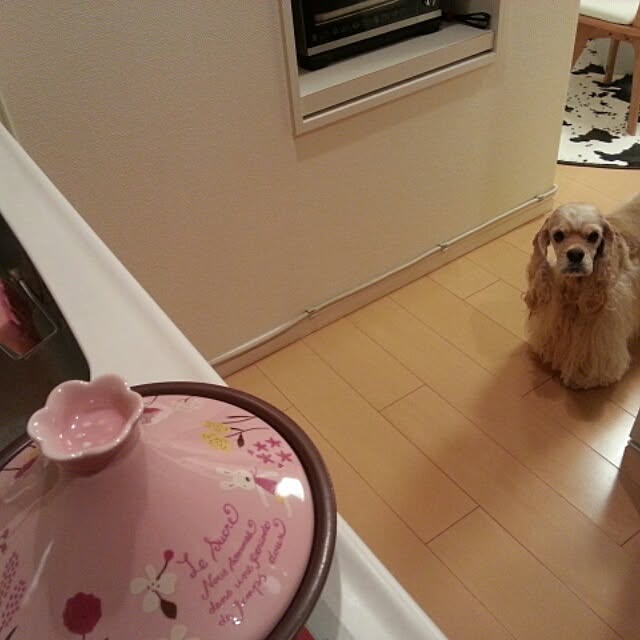 evetamaさんの実例写真