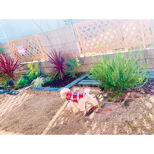 teaさんの実例写真