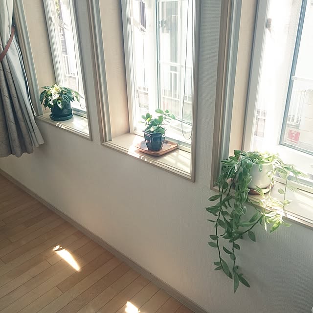 nao525さんの実例写真