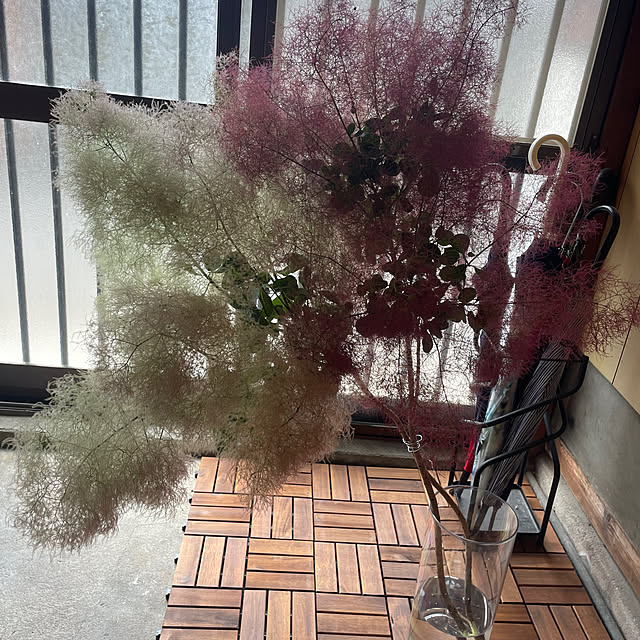 hameさんの部屋