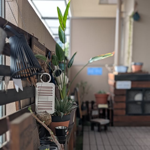 lovepeaceさんの実例写真