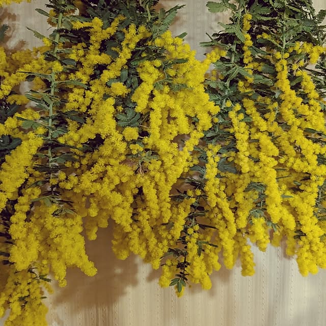 kouheiyuto24623takaさんの部屋