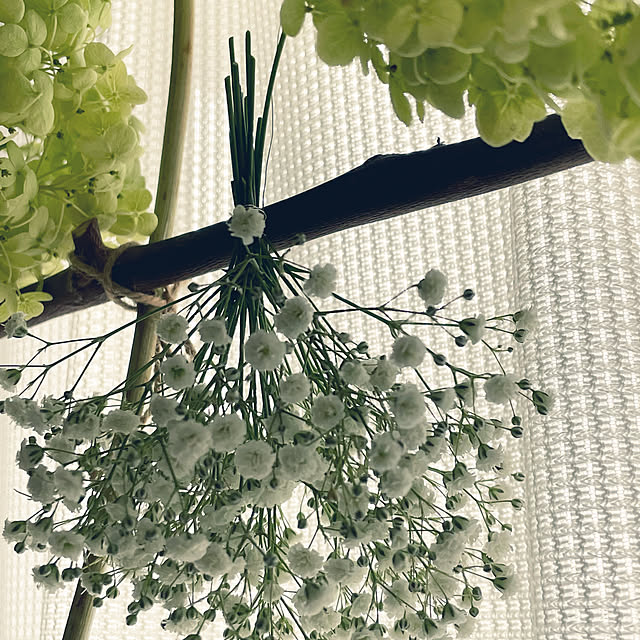 satokoさんの部屋